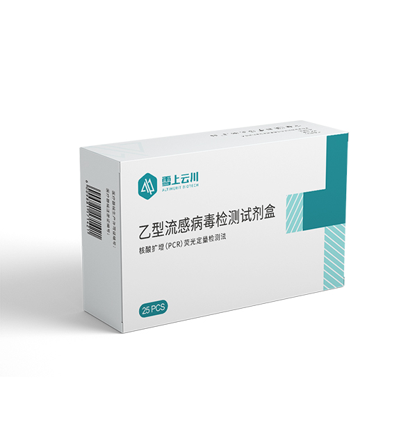 乙型流感病毒检测试剂盒